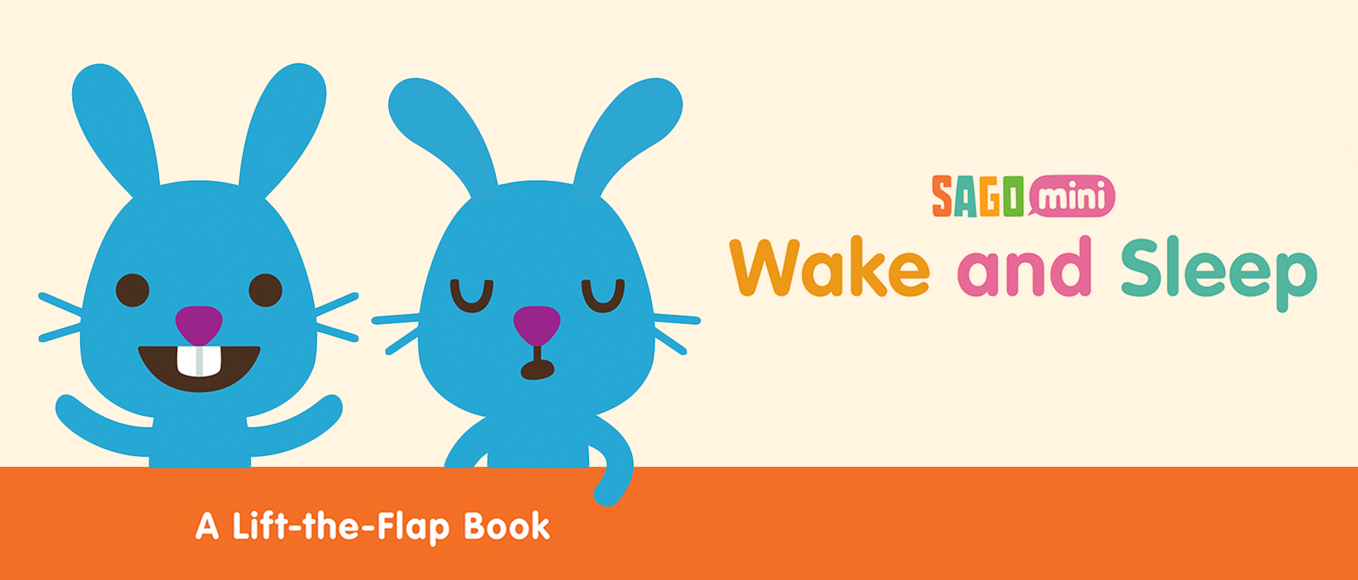 Wake and Sleep: A Lift-the-Flap Book